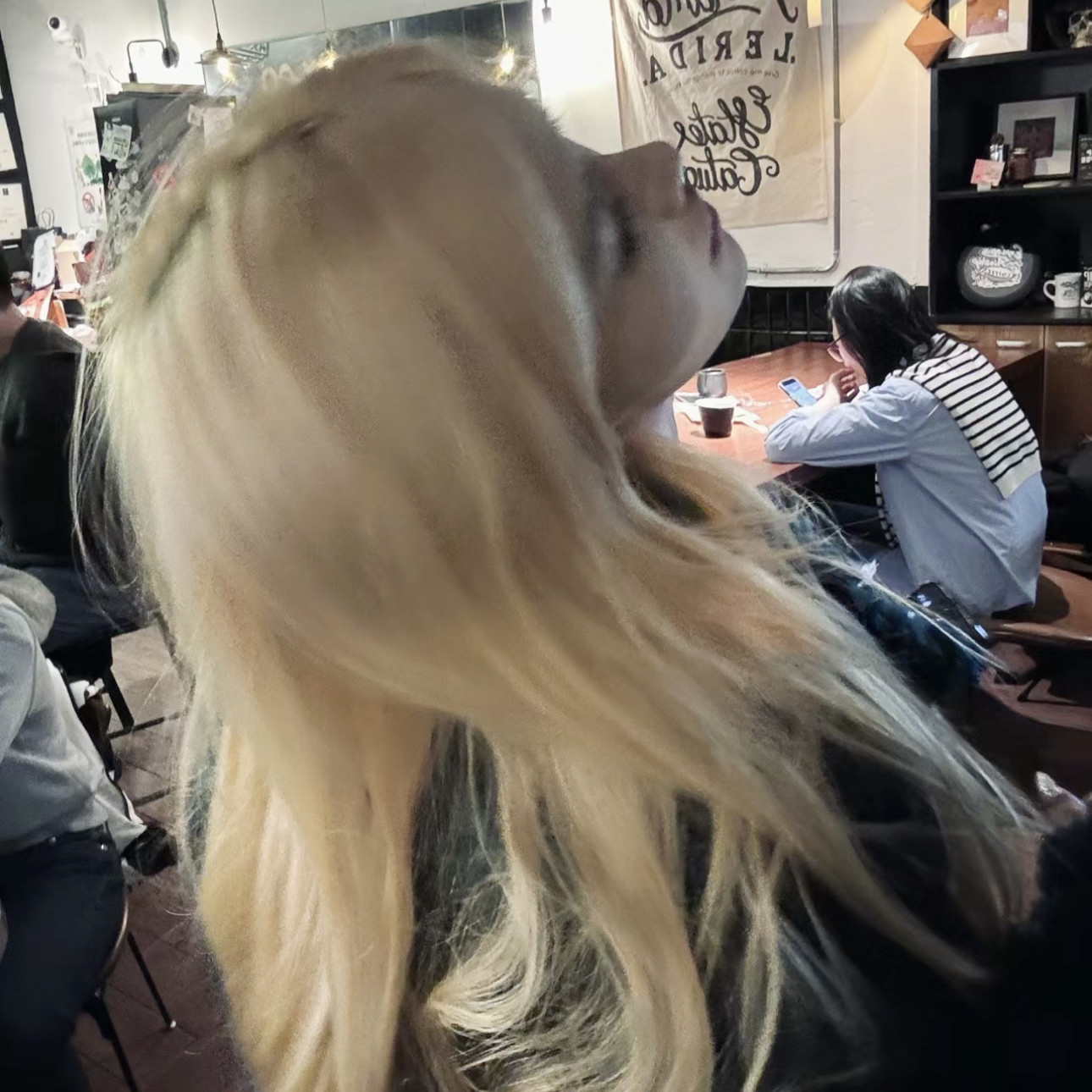 King Charles Cavalier